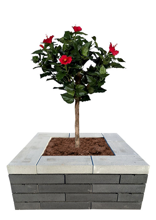 Murblok Nordic Wall koks 60 x 30 x 12 cm